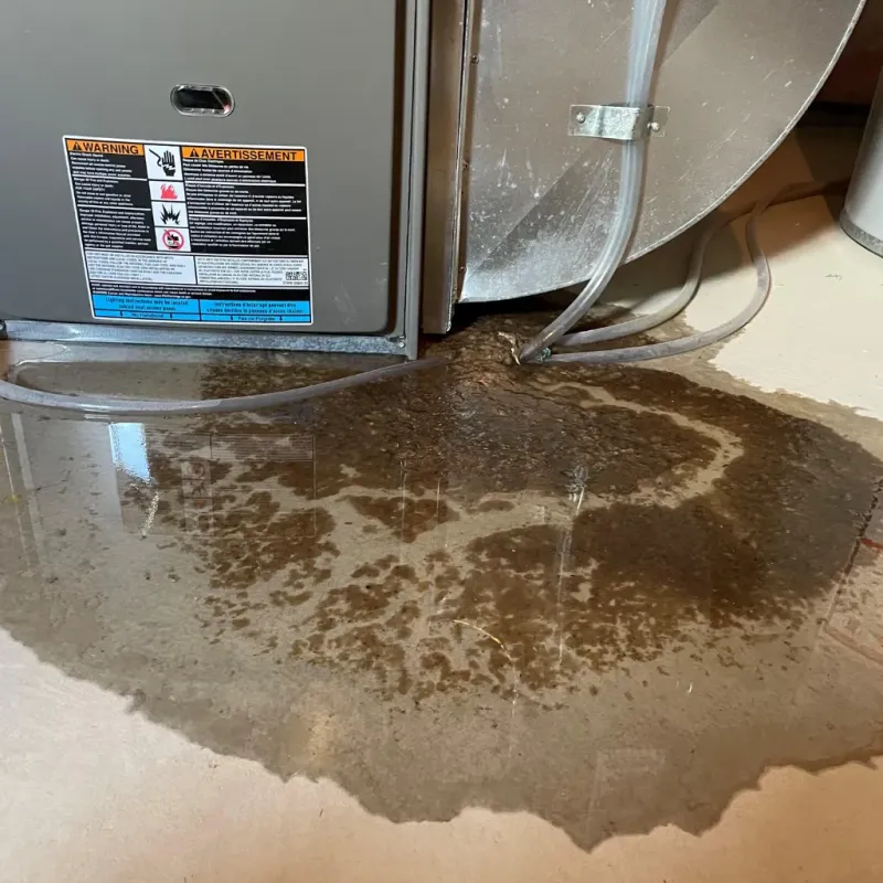 Appliance Leak Cleanup in Jefferson County, MO