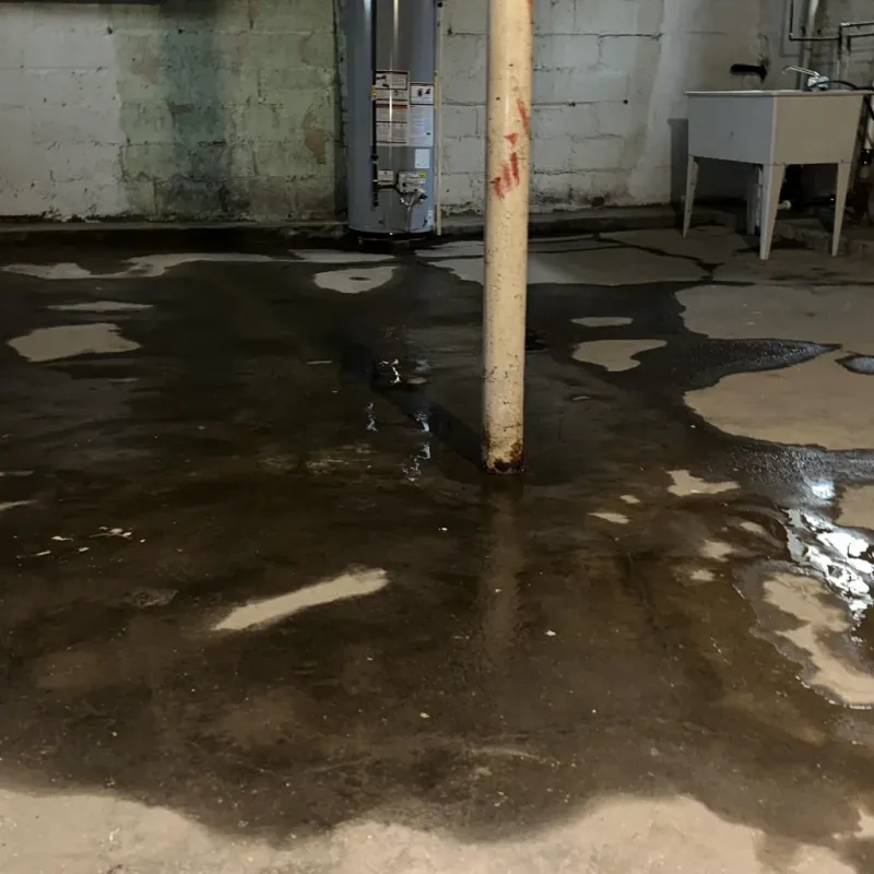Emergency Water Extraction And Removal in Jefferson County, MO